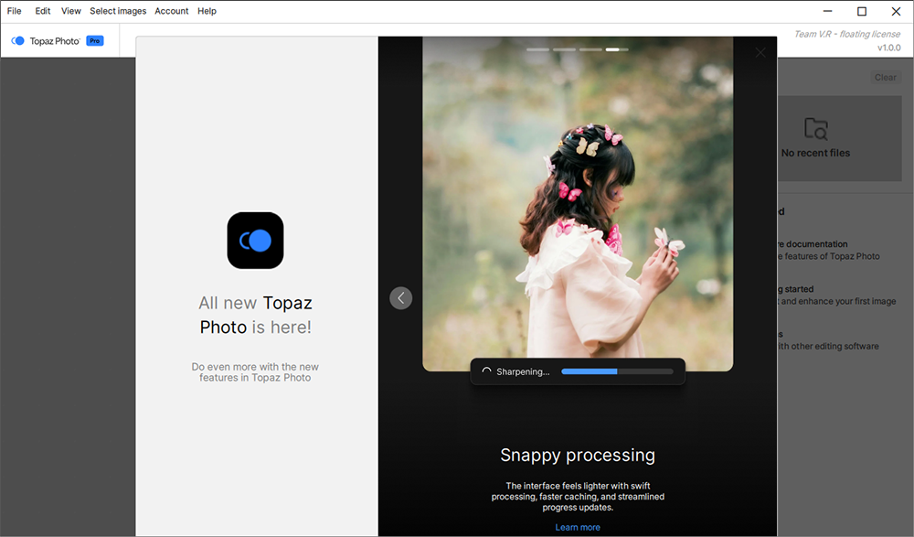 Topaz Photo Pro v1.0.2 x64