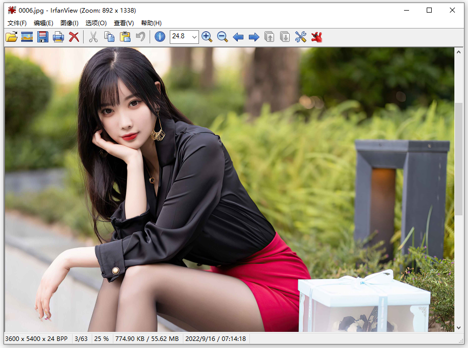 图像查看器 IrfanView v4.73 Commercial