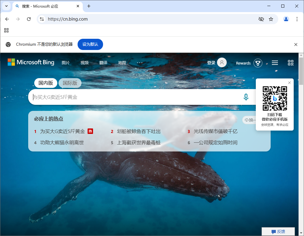 Ungoogled-Chromium v139.0.7258.127-1.1 中文绿色版